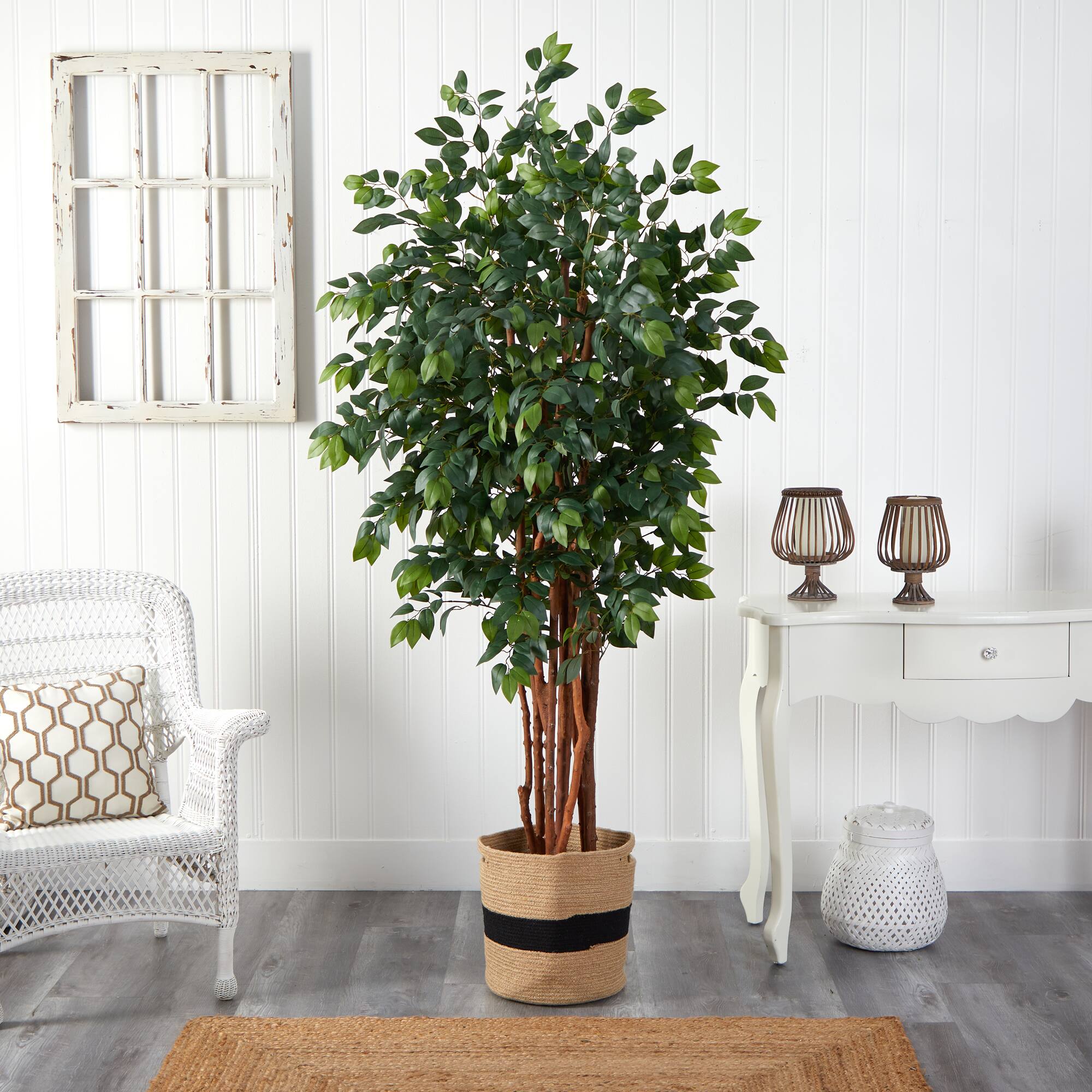 7ft. Sakaki Artificial Tree in Handmade Natural Cotton Planter